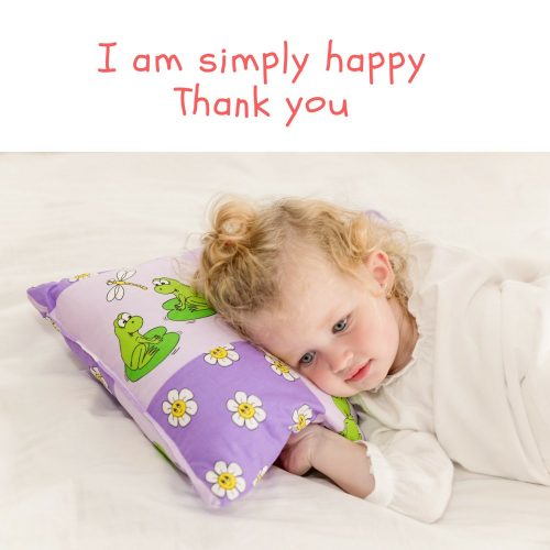 Kids Toddler Pillowcase – Mauve Turtles